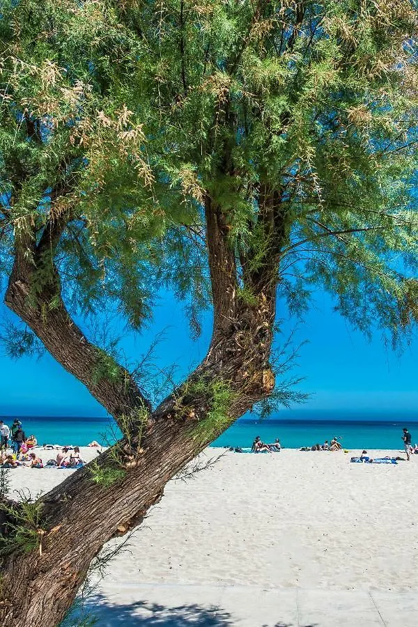 Daire Casetta Vista Mare In Piazza A Mondello Palermo